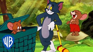 Tom y Jerry en Español  ¡Un poco de aire fresco  WB Kids [upl. by Sherlocke]