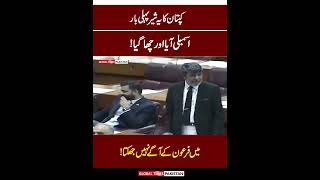 Imran Khans Brave MNA Dabung Speech in National Assembly  PTI  News  Global Times Pakistan [upl. by Rosemaria639]