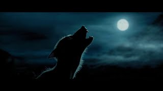 Werewolf sound effects HD [upl. by Sairahcaz]