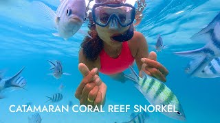 Caring for Coral  National Geographic [upl. by Siskind]