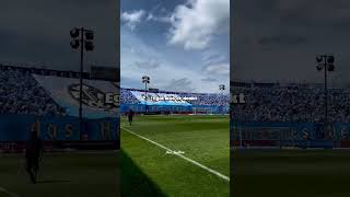 1860 München Fangesang Edit mit Text 🔵⚪✊ 1860 münchen [upl. by Jaehne]