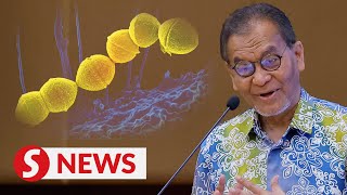 Msia to seek WHO input on Japan flesheating bacteria outbreak says Dzulkefly [upl. by Lewej438]