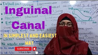 Inguinal Canal 1  in simplest and easiest way  anterior abdominal wall  ayeshamedicaleducation [upl. by Gnanmas]