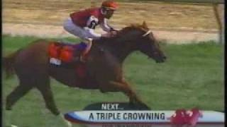 Wando  2003 Breeders Stakes [upl. by Mingche]