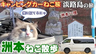 【ねこ旅】淡路島の旅（４）洲本ねこ散歩 [upl. by Hcardahs]