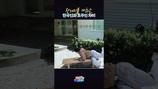 떼줘 왕거미다😨 StrayKids 스트레이키즈 스키즈코드 SKZCODE 스키즈비행記 SKZTravelLog YouMakeStrayKidsStay [upl. by Schluter686]