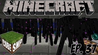 Minecraft Cube SMP Enderman Farm  Ep 37 [upl. by Tiffany408]