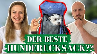 BESTER HUNDERUCKSACK I Hunderucksack Härtetest I Wanderpfote [upl. by Lud519]