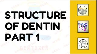 Dentinal Tubules  Dentin Histology  Structure of Dentin [upl. by Georgiana]