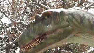 Calgary Zoo Dinosaurs Alive [upl. by Anerul137]