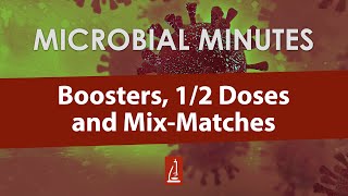 COVID19 Boosters ½ Doses and MixMatches [upl. by Ennyroc819]