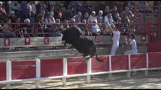 BEAUVOISIN COURSE DE TAÜ ET CHATRES NEUF 18042022 [upl. by Grunenwald797]