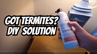 Got Termites Quick Fix Using Professional Products [upl. by Ecreip]