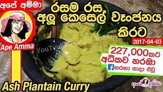 ✔ අලු කෙසෙල් වෑංජනය කිරට  Alu kesel kirata  Ash plantain curry recipe by Apé Amma [upl. by Atteragram]