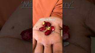 trying Miracle Berry [upl. by Jabon]