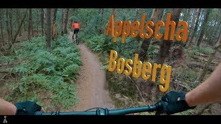 MTB Challenge  Appelscha Bosberg [upl. by Remos267]