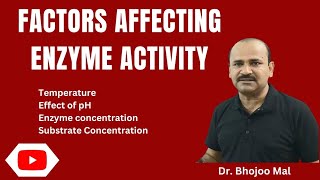 Factors affecting Enzyme activity  Class 11 biology  by Dr Bhojoo Mal [upl. by Llenra]