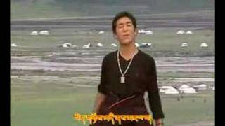 Tibetan Song Yonten Gonpo Tseden Lhayi Bumo [upl. by Lowenstein315]