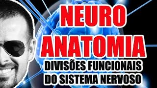 Divisões funcionais do Sistema Nervoso Somático Visceral Aferente e Eferente  VideoAula 071 [upl. by Masterson]