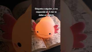 El ajolote perfecto 🥹 ajolote axolotl lampara cute adorable regalos paraella [upl. by Arracot]