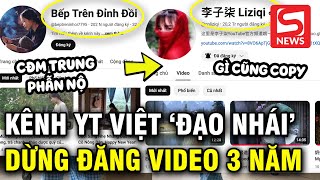 Netizen xứ Trung tố Youtuber Việt bắt chước Lý Tử Thất cả việc quotngừng đăng video trong 3 nămquot [upl. by Folly]