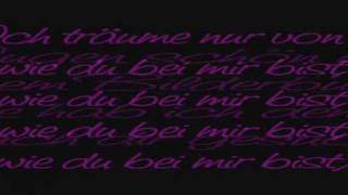 Canze  Ich Träum von dir Lyrics [upl. by Mikkanen]