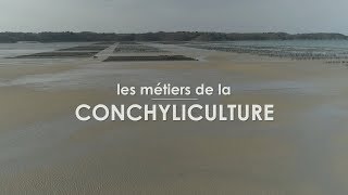 Les métiers de la conchyliculture à St Cast le Guildo [upl. by Joacima]