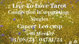 ♋️ Cancer ♌️ Leo cusp love💫Want to talk💫 [upl. by Rebna]