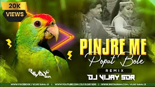 Pinjre Main Popat Bole Edm Jazz Mix  DJ VIJAY SDR [upl. by Dlaner]