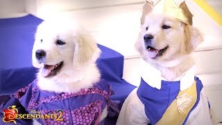 You and Me Music Video  Dogscendants 🐶  Descendants 2 [upl. by Odnama612]