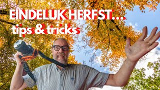 HERFSTFOTOGRAFIE TIPS amp TRICS voor COMPOSITIE CAMERA MATERIAAL amp  SETTINGS en POSTPRODUCTIE LR [upl. by Akinor]