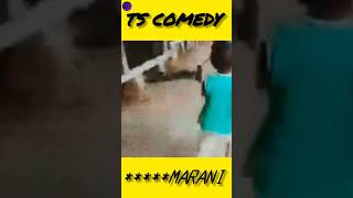 marani  todaystarted comedy fun funny😅 [upl. by Art939]