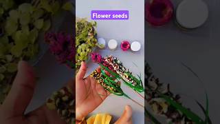 Flower seeds make flower stickshots diy 🌷🌷🌷Mt craft [upl. by Gayelord264]