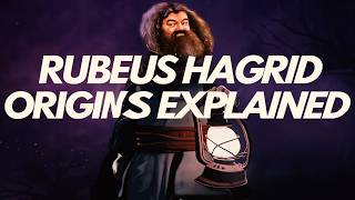 quotRubeus Hagrid Origins Explainedquot Harry Potter [upl. by Adlitam]