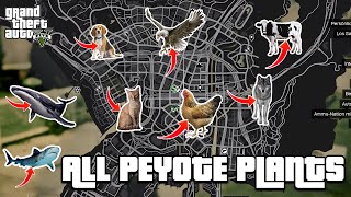 GTA 5  All 27 Peyote Plants Location Guide  Play as an animal [upl. by Artapoelc]