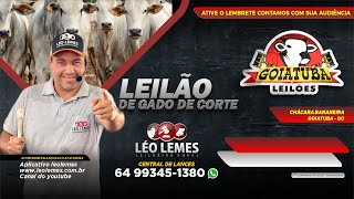 Goiatuba Leilões I 26112024 I Léo Lemes Leilão de Gado de Corte em Goiás  Leilão Ao Vivo [upl. by Llemhar900]