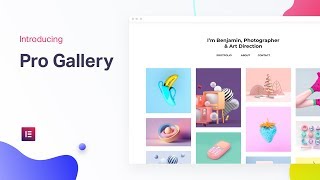 Elementor Pro Gallery Widget The Best Image Gallery Solution for WordPress [upl. by Ythomit]