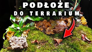 Podłoże do VIVARIUM BIOAKTYWNEGO  jak zrobić 2 [upl. by Adianez814]