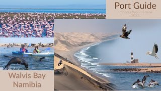 Cruise Port Guide  Walvis Bay Namibia  What to do  Princess World Cruise 2025  LivinLifeNow [upl. by Enneirda]