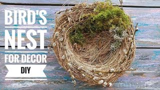 Birds Nest DIY for Easter decor ❀ [upl. by Stanford716]