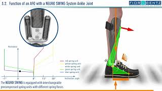 EN The Right Orthosis in case of a Combined Weakness of the Dorsiflexors and Plantar Flexors 34 [upl. by Enirac]