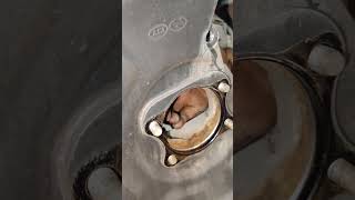 Replace Rear Wheel Bearing Sound [upl. by Gavin]