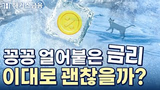 미국 금리 인하 엔화는 폭등 대한민국은 금리를 내리지 못하는 이유 [upl. by Leasia]