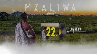 DRIEMO  LOYALTY official audio visualizermzaliwa malawi zambia afrobeat [upl. by Aneerahs781]