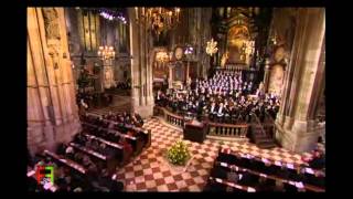 9Wiener Sängerknaben  Coronation Mass in C Major K317  Sanctus  A Mozart Celebration [upl. by Silin876]