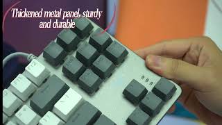 Aula F3287 Wired Gaming Mechanical Keyboard  Best Selling Gaming Keyboard in India [upl. by Darrow]