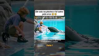 Ele foi salvo pela orca 🎬 Free Willy filme resumo curiosidades anos90 [upl. by Anilem658]