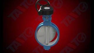 Butterfly Valve [upl. by Nylzaj]