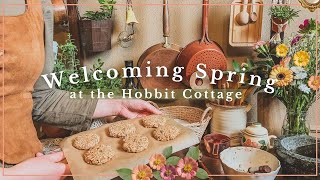 Preparing for Spring at the Hobbit Cottage 🌱 Cottagecore home decor amp recipes inspired by The Shire [upl. by Buroker]