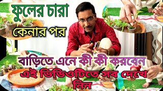 ফুলের চারা বাড়িতে এনে কী কী করবেন এই ভিডিওটিতে দেখে নিন Flower plant seedling care [upl. by Carolyn]